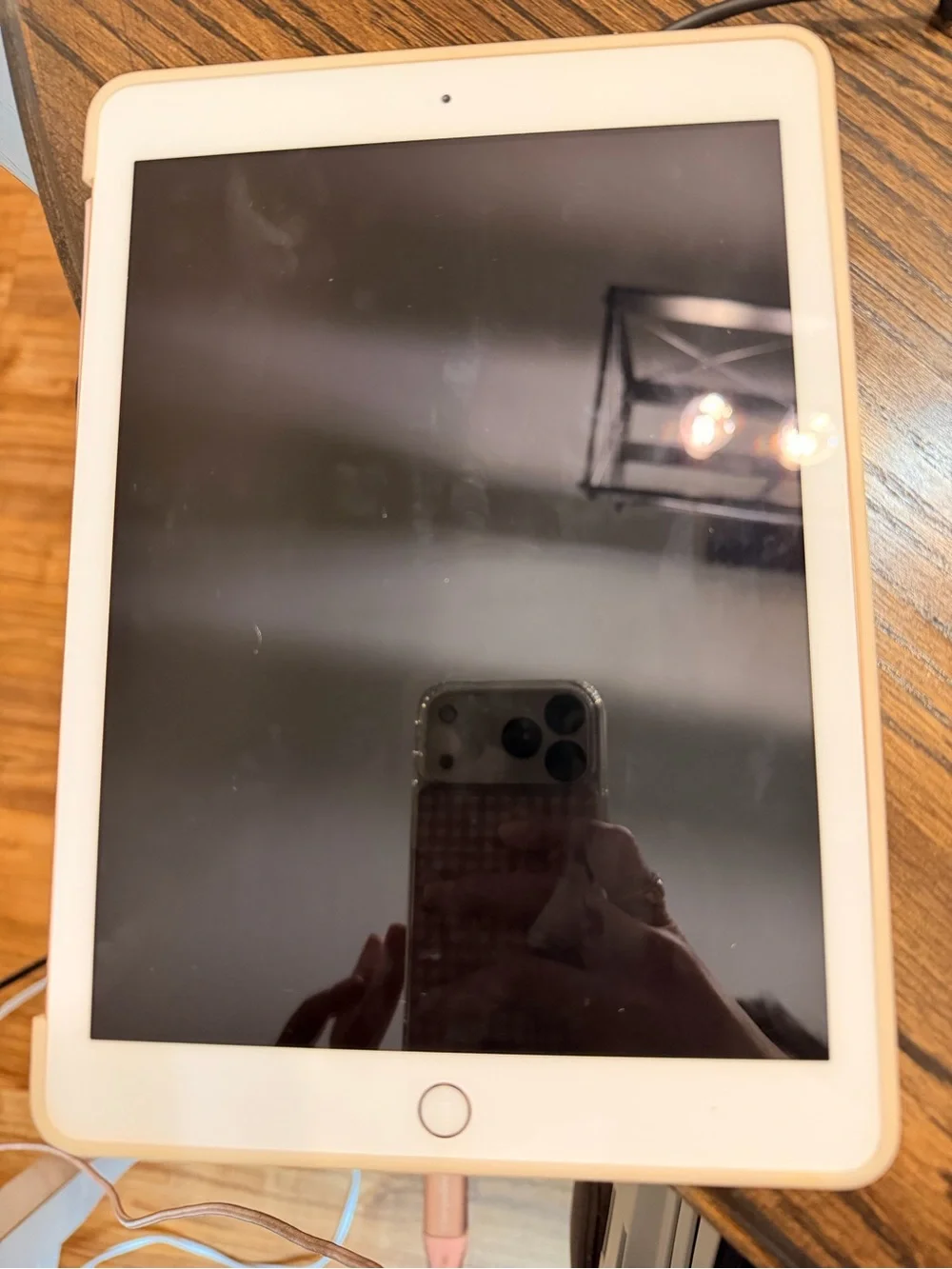 Apple iPad in White and rose gold back